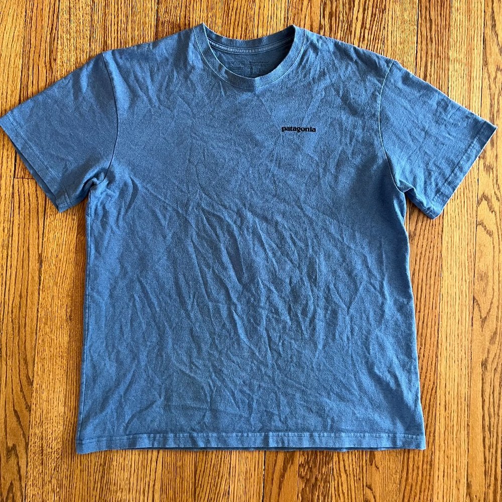 Patagonia Men's Responsibili-Tee Mountain Activities Size L Blue